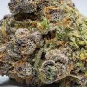 Jericho Haze Marijuana Strain
