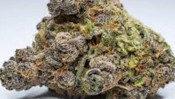 Jericho Haze Marijuana Strain