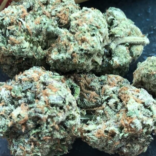 Bacio Gelato Marijuana Strain