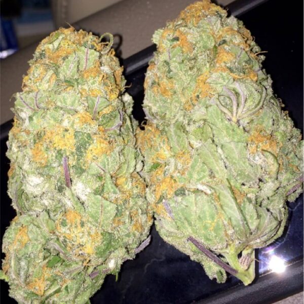 Fruit Punch Kush Strain