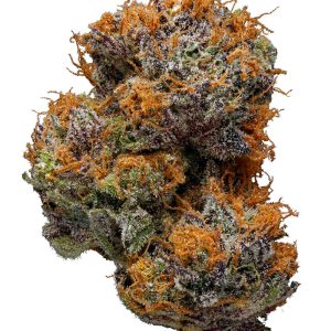 G-13 Purple Haze Marijuana Strain