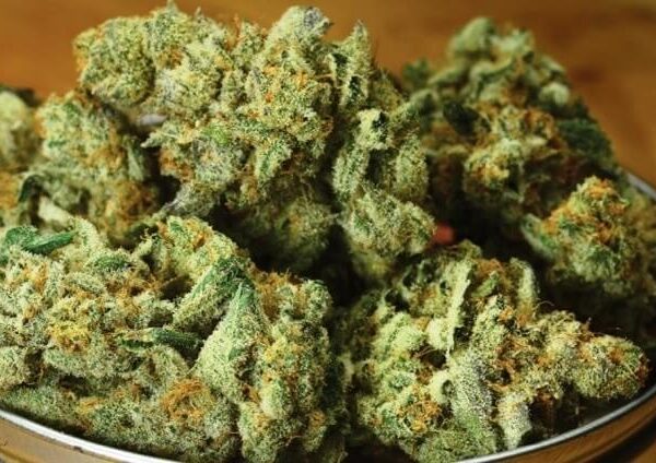 Berry Breath Cannabis Strain