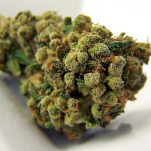 Super Sour Diesel Weed Strain