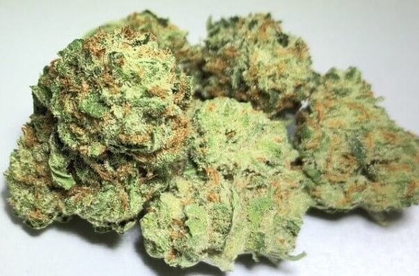 Black Jack Marijuana Strain UK