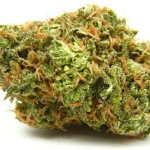 Oasis Marijuana Strain UK