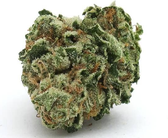 Wedding Cake Weed Strain