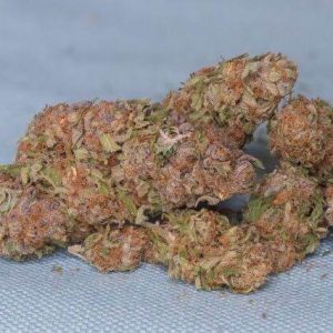 Heavy Hitter Marijuana Strain
