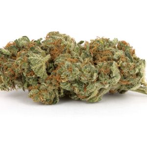 Sour Haze Marijuana Strain UK