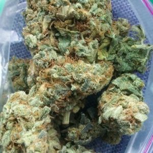Strawberry Cough Cannabis Strain UK