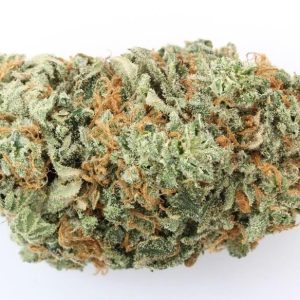 Buzz Light Gear Marijuana Strain