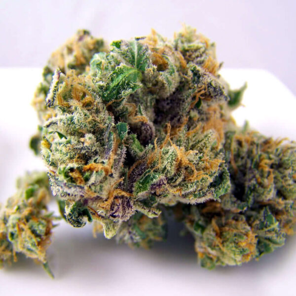 Woody Kush Cannabis Strain UK