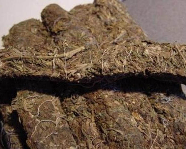 Thai Stick Marijuana Strai