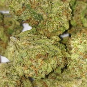 Full Moon Cannabis Strain