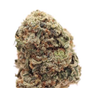 Platinum Champagne Weed Strain