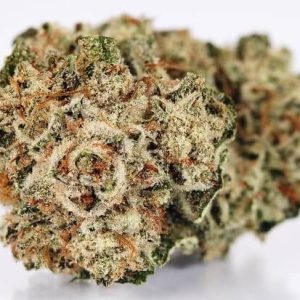 Orange Glue Marijuana Strain UK