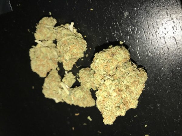 Candy Jack Weed Strain UK