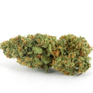 Buy XJ-13 Cannabis Strain