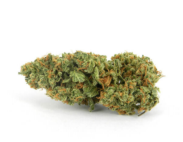 Buy XJ-13 Cannabis Strain