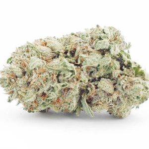 Buy Holy Grail Marijuana Strain