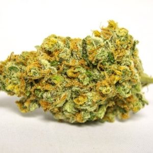 Tangerine Sunrise Weed Strain UK