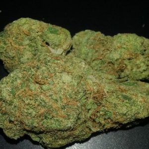 Big Buddha Cheese Weed Strain