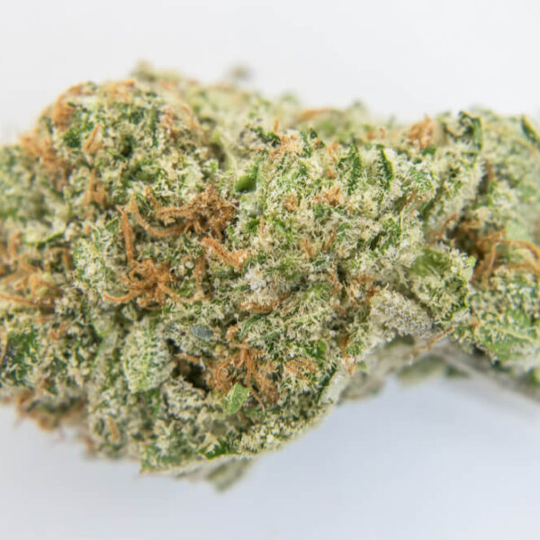 Buy OG Kush Marijuana Strain