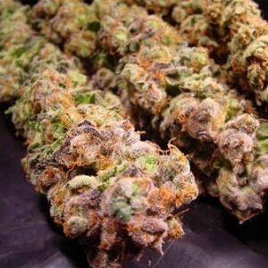 Durga Mata Cannabis Strain