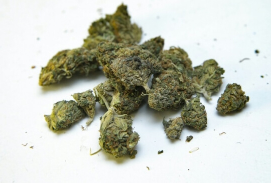 Zamal Marijuana Strain