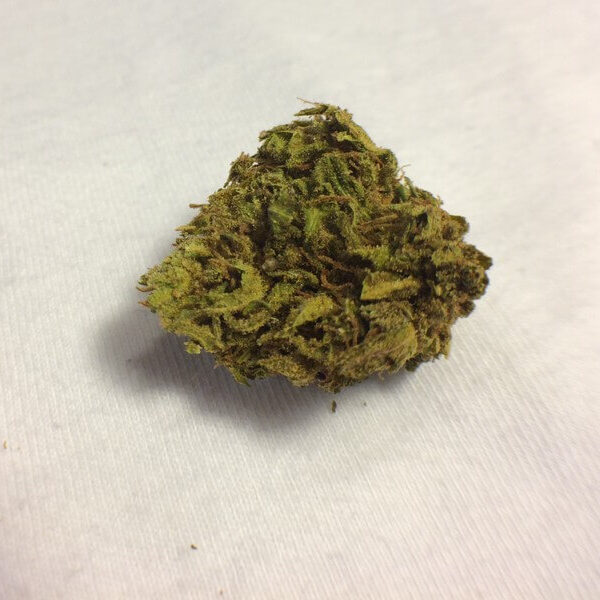 Confidential Cheese Marijuana Strain