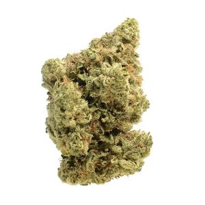 The Dutchess Weed Strain